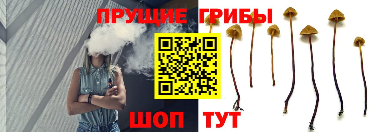 Псилоцибиновые грибы мухоморы  купить  сайты  Вход с VPN  Кизилюрт  Галлюциногенные грибы Psilocybine cubensis 